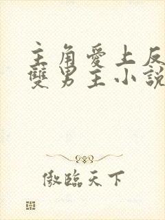 主角爱上反派的双男主小说