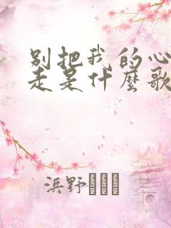 别把我的心儿带走是什么歌