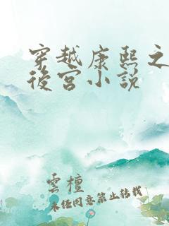 穿越康熙之极品后宫小说