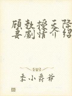 顾教授天降小萌妻剧情介绍