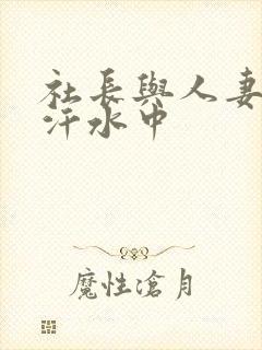 社长与人妻秘书汗水中