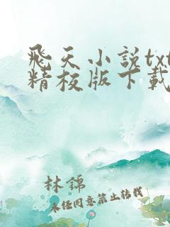 飞天小说txt精校版下载