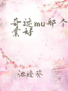 奇迹mu哪个职业好