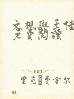 文枫与柔佳小说免费阅读