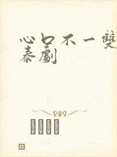 心口不一双男主泰剧