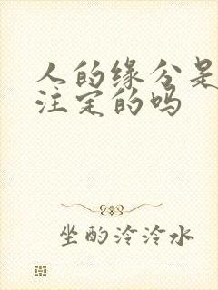 人的缘分是命中注定的吗