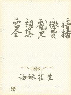 电视剧微暗之火全集免费播放