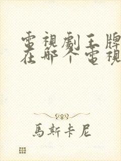 电视剧王牌部队在哪个电视台播放