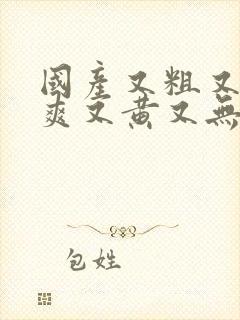 国产又粗又猛又爽又黄又无遮挡