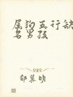 属狗五行缺火取名男孩