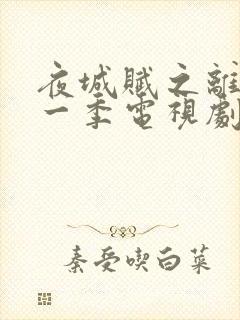 夜城赋之离生第一季电视剧免费观看