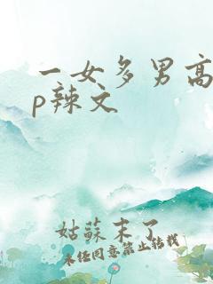 一女多男高hnp辣文