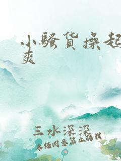 小骚货操起来真爽