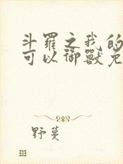 斗罗之我的武魂可以御兽免费阅读