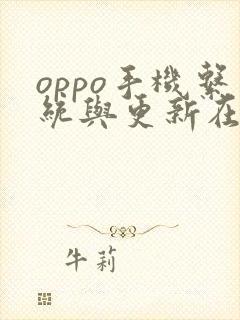 oppo手机系统与更新在哪里