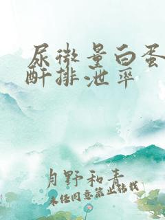 尿微量白蛋白肌酐排泄率