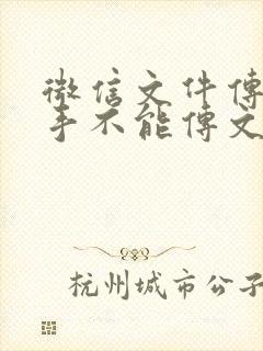 微信文件传输助手不能传文件怎么办