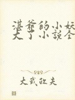 湛爷的小妖精长大了小说全文阅读