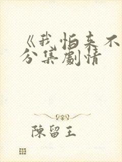 《我怕来不及》分集剧情