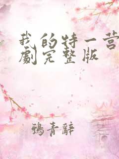 我的特一营电视剧完整版