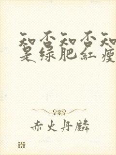 知否知否知否应是绿肥红瘦哪个平台