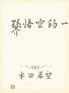 孙悟空的一生简介