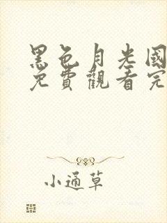 黑色月光国语版免费观看完整版