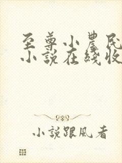 至尊小农民有声小说在线收听