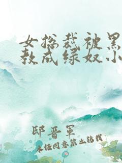 女总裁被黑人调教成绿奴小说