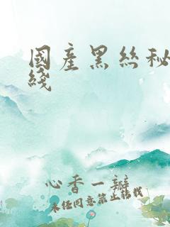 国产黑丝秘书在线