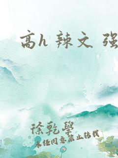 高h 辣文 强