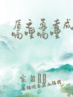 盾之勇者成名录嘀哩嘀哩