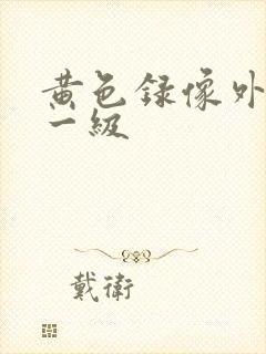 黄色录像外国特一级