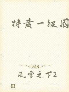 特黄一级国产片