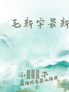 毛新宇最新简历