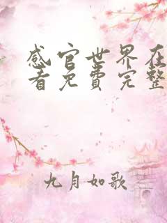 感官世界在线观看免费完整版|高清