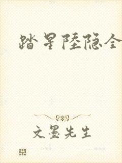 踏星陆隐全本