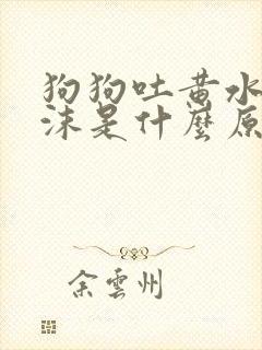 狗狗吐黄水带泡沫是什么原因