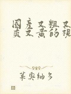 国产又粗又猛又爽又黄的视频一区