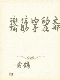 微信内的文件传输助手在哪里