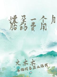 怀孕一个月打掉胎的费用