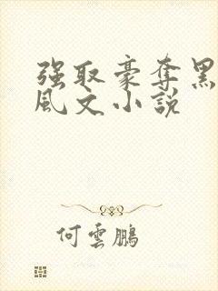 强取豪夺黑道港风文小说