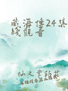 藏海传24集在线观看