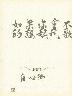 如果你会不经意的想起我歌词