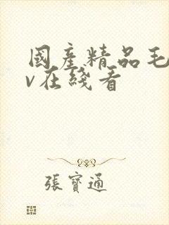 国产精品毛片av在线看