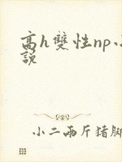高h双性np小说
