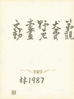 文豪野犬第三季动画免费观看