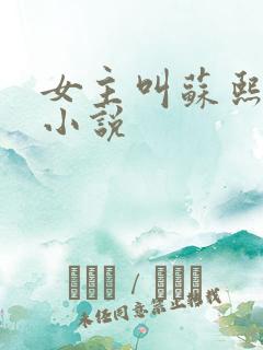 女主叫苏熙熙的小说