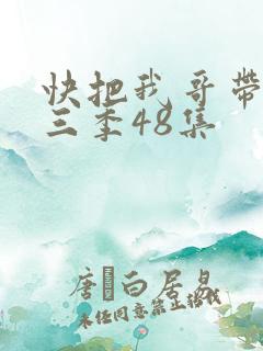 快把我哥带走第三季48集