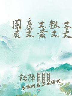 国产又粗又猛又爽又黄又大视频